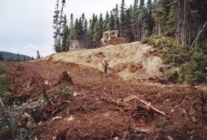 Construction d’un chemin forestier