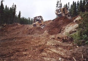 Construction d’un chemin forestier