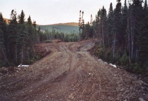 Chemin forestier terminé