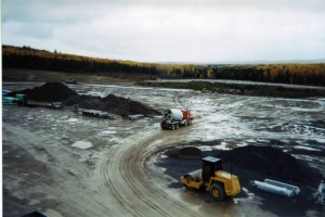 Travaux de terrassement jusqu’à la limite des arbres